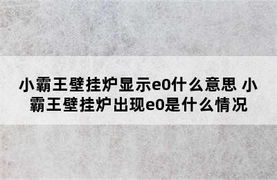 小霸王壁挂炉显示e0什么意思 小霸王壁挂炉出现e0是什么情况